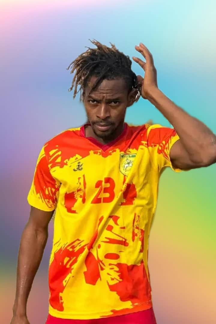 Emeka Okafor - Forward